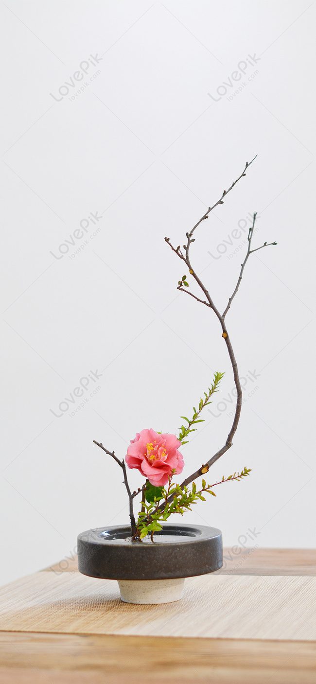 Fondo De Pantalla Del Teléfono Móvil Con Arreglos Florales Japon Imagen de  Fondo Gratis Descargar en Lovepik