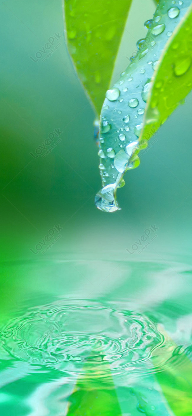 Water Drop Cell Phone Wallpaper Images Free Download on Lovepik | 400568557