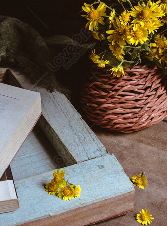 Little Girl Is Sitting In The Yard Reading An Old Book Background, Girl  Reading, Hd Photography Photo, Plant Background Image And Wallpaper for  Free Download