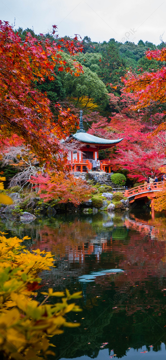 Autumn Mobile Phone Wallpaper In Kyoto Images Free Download on Lovepik |  400671487