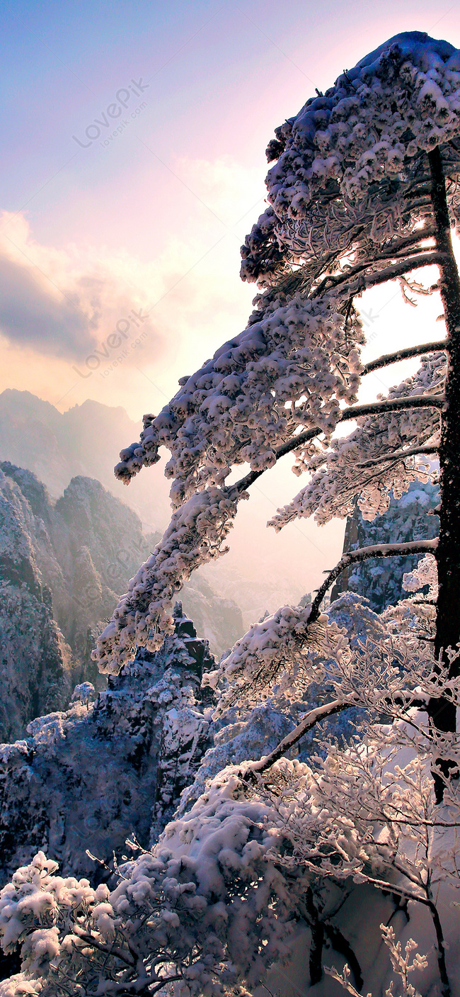 山の雪景色の携帯壁紙イメージ 背景 Id Prf画像フォーマットjpg Jp Lovepik Com