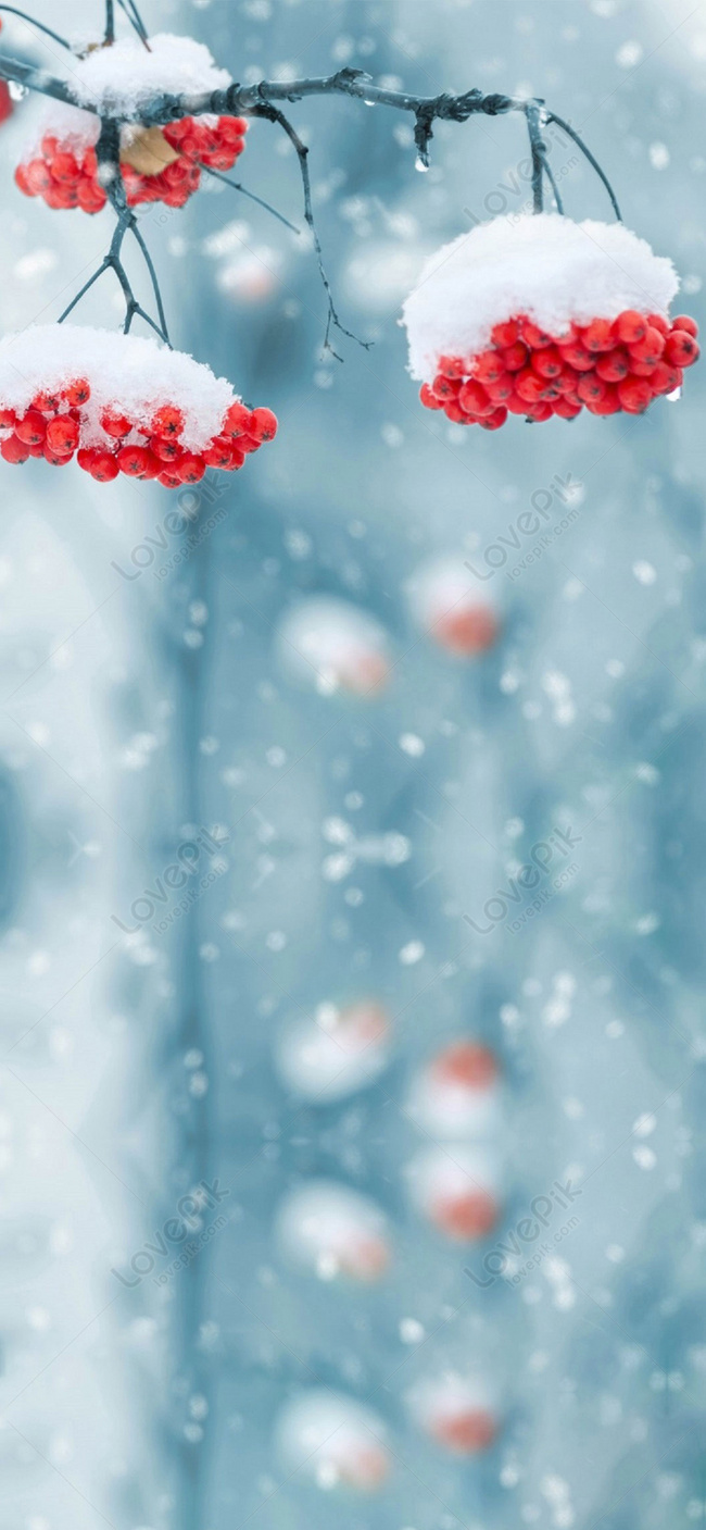 Snowflake Flower Phone Wallpaper Images Free Download on Lovepik | 400795216