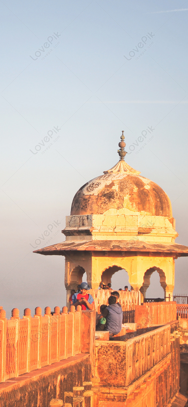 Tigers Mobile Wallpaper Jaipur India Images Free Download on Lovepik |  400706099