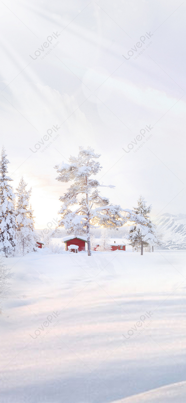 Hình nền mùa đông: Mùa đông sẽ không còn lạnh lẽo nếu bạn có các hình nền đẹp về mùa đông. Hãy cùng ngắm nhìn cảnh tuyết rơi hay các con hươu ngoài đồng cỏ trắng xóa.