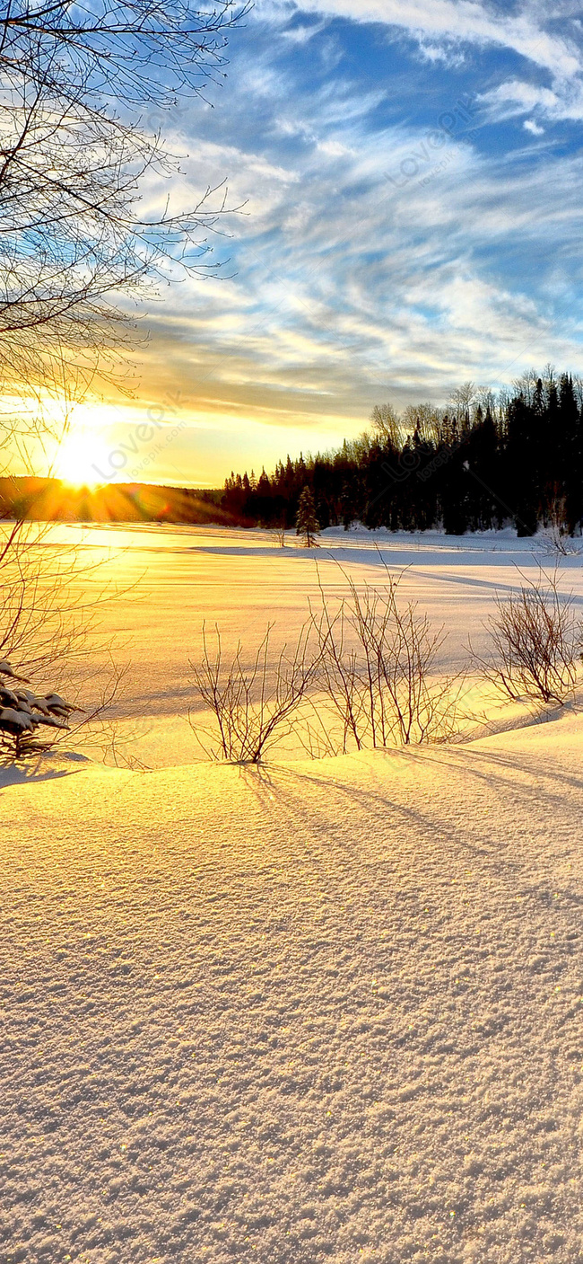 Зимние Солнечные Обои для мобильных изображение_Фото номер 400706146_JPG  Формат изображения_ru.lovepik.com