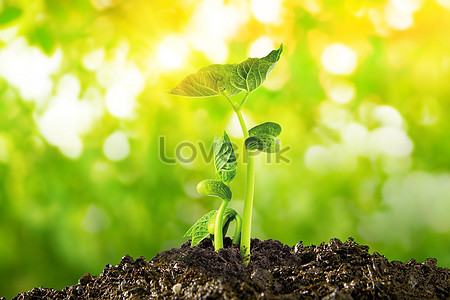 Soil Background Images, 190+ Free Banner Background Photos Download -  Lovepik