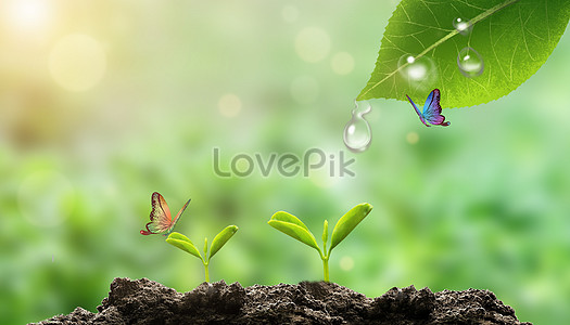 Butterfly Background Images, HD Pictures For Free Vectors & PSD Download -  