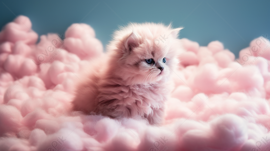 Hình Nền Mèo Con Màu Hồng được Bao Quanh Bởi Những đám Mây Bông Màu Hồng,  Được Hình Nền, Bao Quanh Hình Nền, Con Mèo Hình Nền, HD và Nền Cờ đẹp