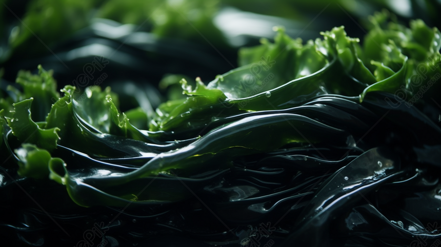 The Oily Texture Of Kelp, Oily Backgrounds, Texture Backgrounds, Wakame ...