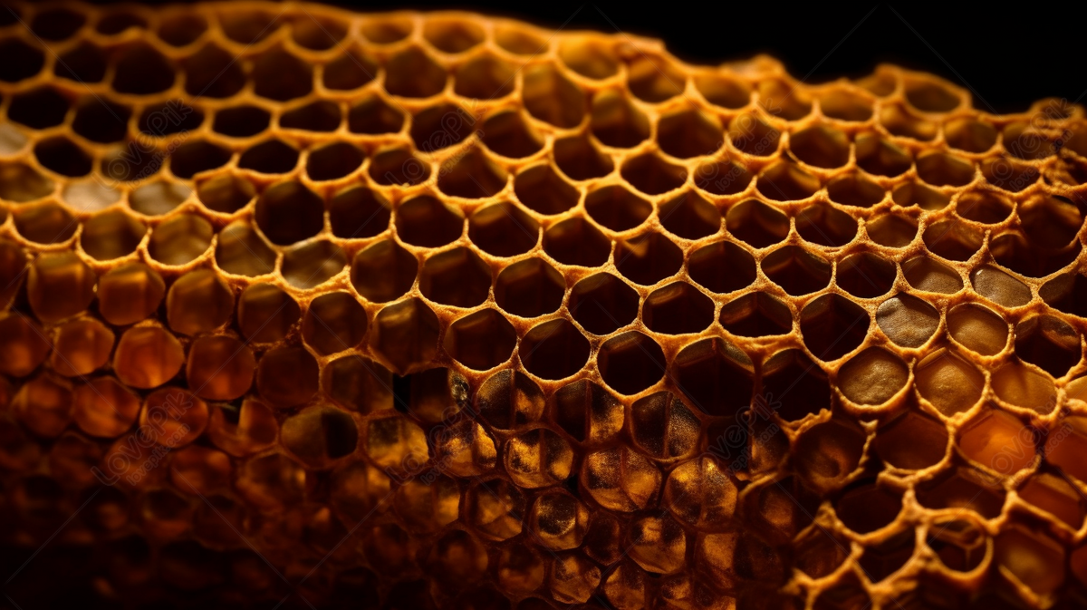 Stunning Background Image: Explore The Intriguing World Of Honeycomb ...