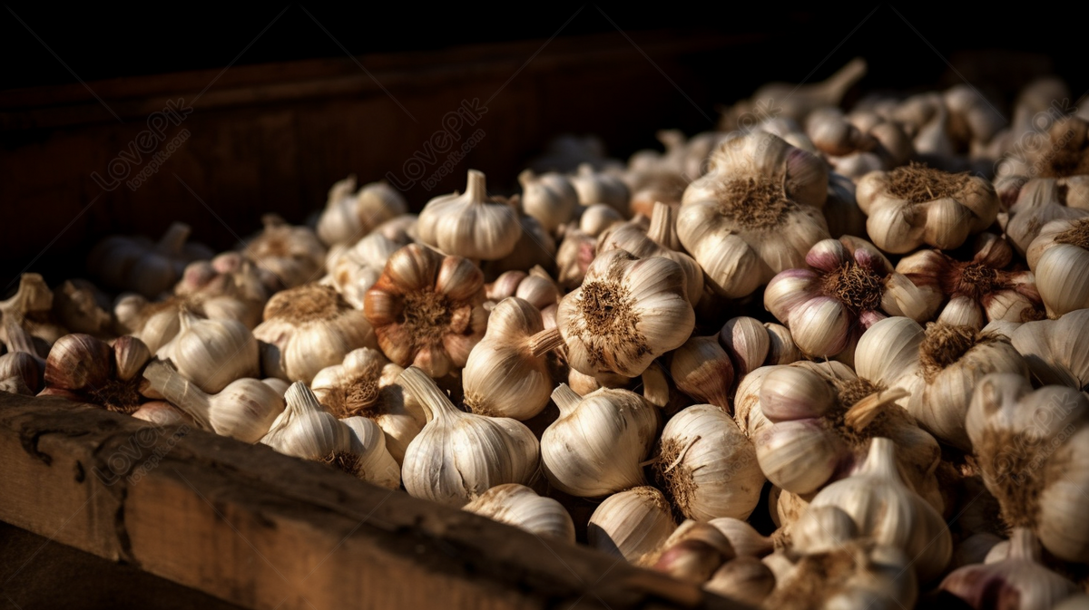 Garlic Garlic Onion And Coriander Background Wallpaper Image For Free  Download - Pngtree