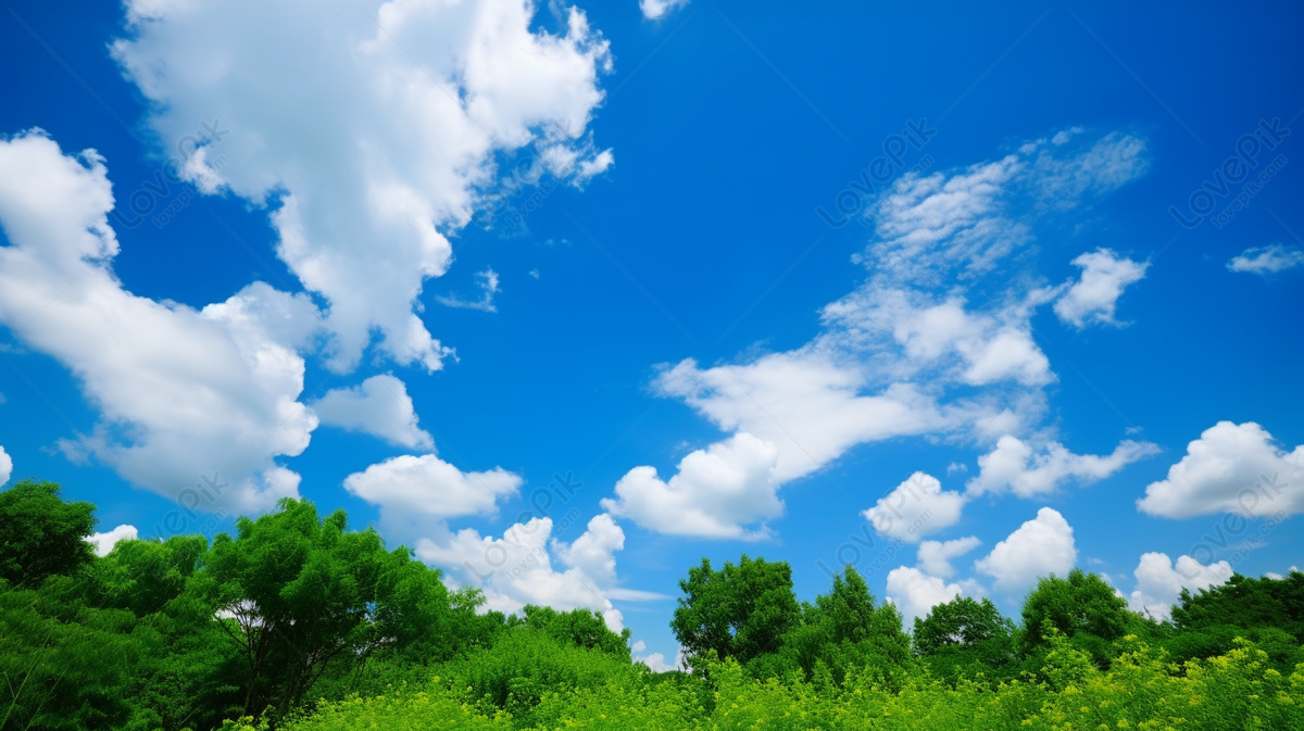 Background Langit Biru Dengan Awan Putih Dan Rumput Hijau Ditampilkan ...