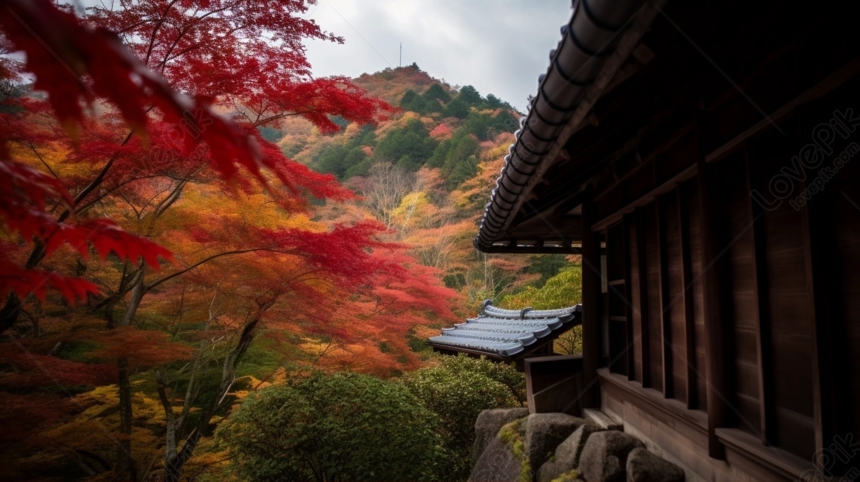 Hình nền : Nhật Bản, phong cảnh, Hồ, Nước, thiên nhiên, Tòa nhà, Sự phản  chiếu, Bầu trời, con sông, ao, đẹp, cây, hoa 2560x1600 - goodfon - 617429 - Hình  nền đẹp hd - WallHere