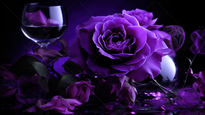 Ảnh hoa hồng | 50 Ảnh hoa hồng đẹp ĐỘC ĐÁO NHẤT TG