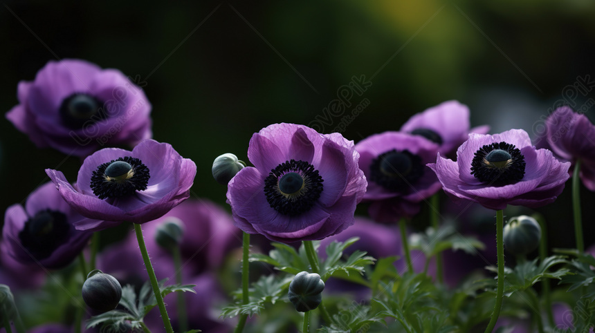 fondo de color morado oscuro