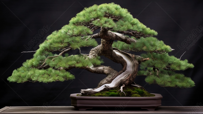 Hình ảnh cây Bonsai trên bàn | Thư viện stock vector đẹp miễn phí