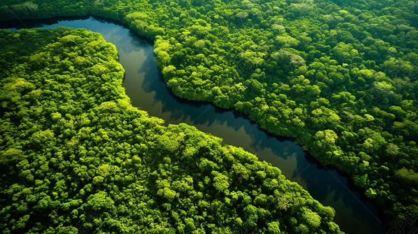 Потрясающий вид с воздуха на реку и пышный тропический лес, Тропический лес  Фон, пышный Фон, река Фон изображение_Фото номер 361357478_PNG Формат  изображения_ru.lovepik.com
