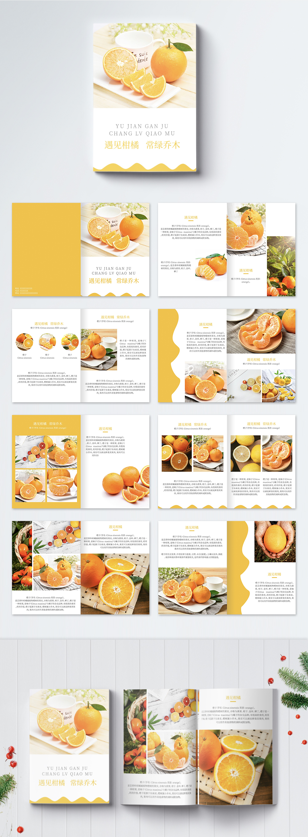 Fresh fruit citrus brochure template image_picture free download ...