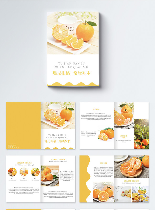 Fresh fruit citrus brochure template image_picture free download ...