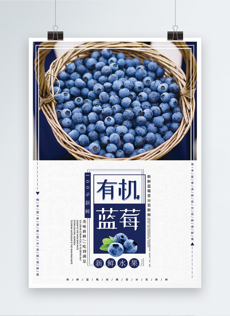 Blueberry Fruit Poster Template Imagepicture Free Download 400304354