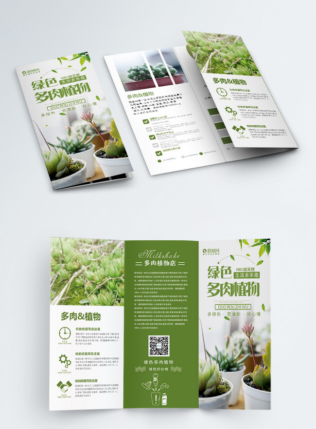 Three flyers for propagation of succulent plants template image_picture ...