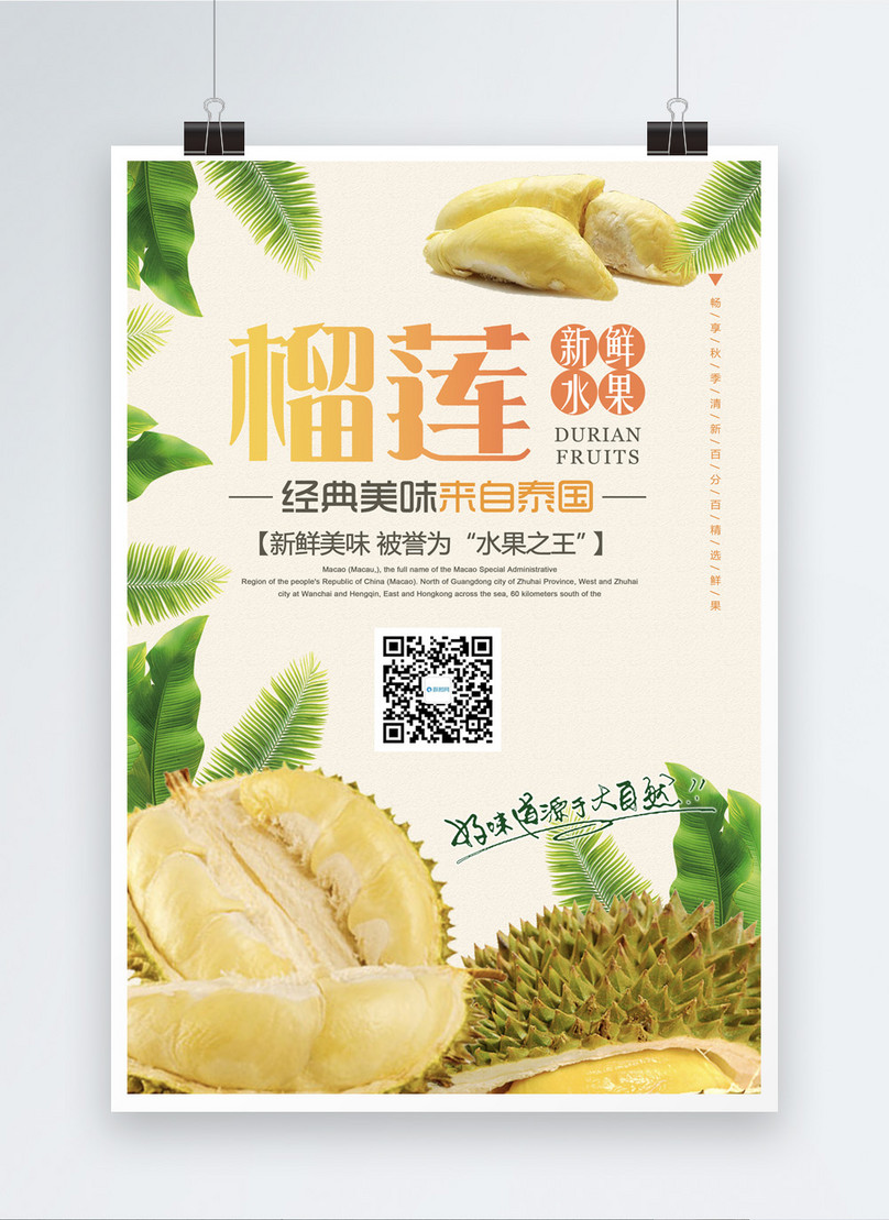 Durian fruit poster template image_picture free download 400760983 ...