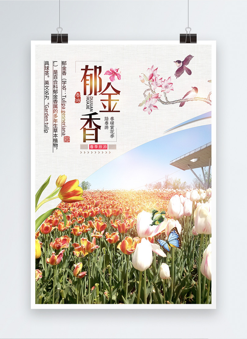 Poster Tur Bunga Tulip Indah Tur Gambar Unduh Gratis