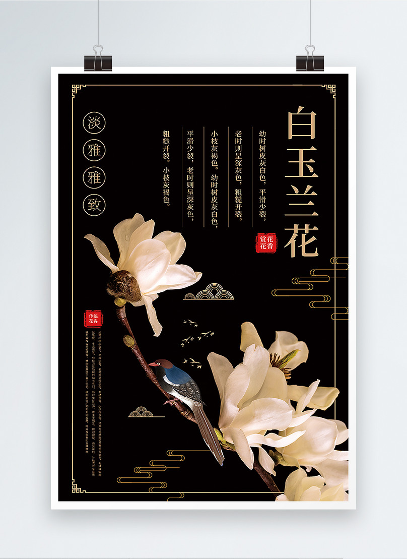 Cartel Simple De La Flor De La Magnolia Blanca Del Estilo Chino | Descarga  Plantilla de diseño PSD Gratuita - Lovepik