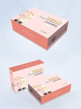 Mock up packaging box cdr