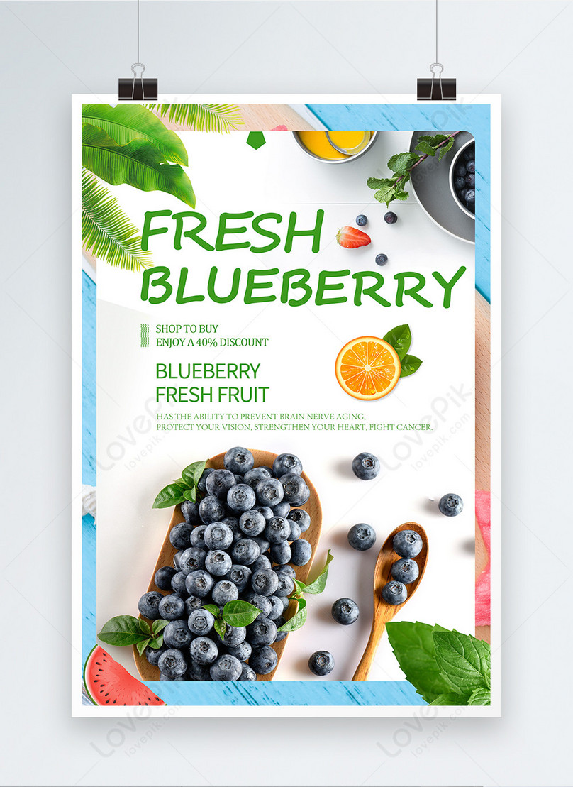 Sweet Blueberry Promotion Poster Template Imagepicture Free Download