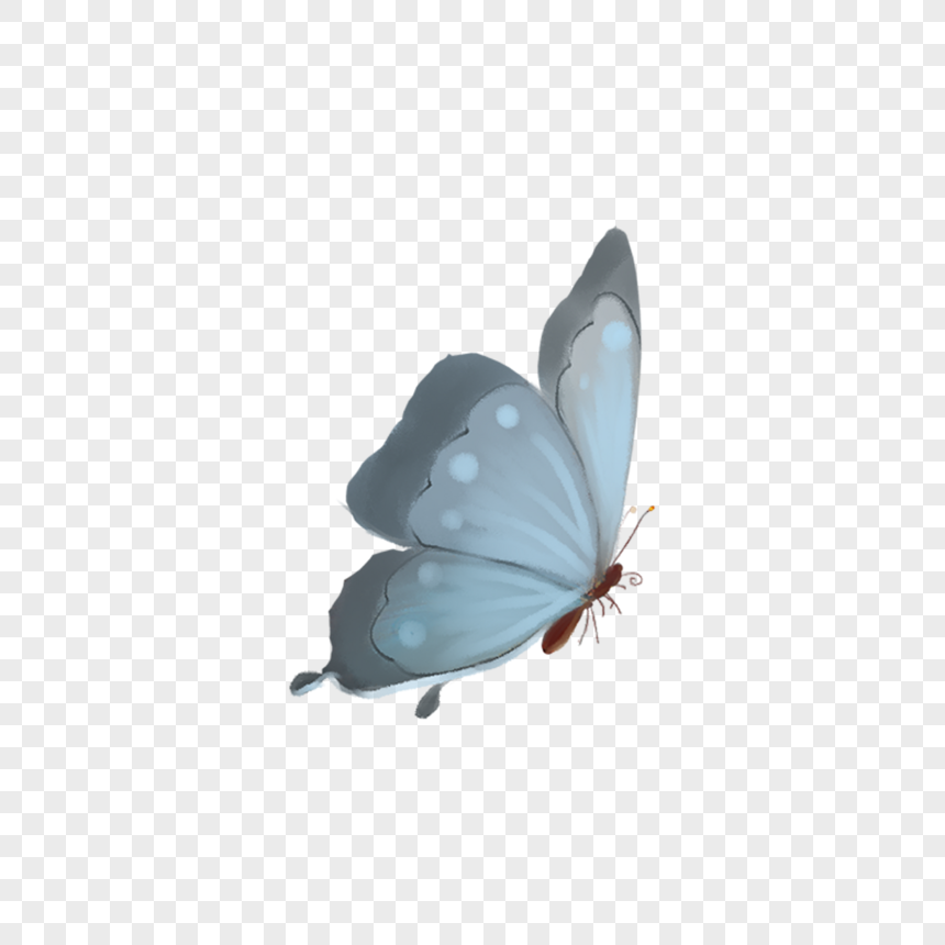 butterfly png image picture free download 400177208 lovepik com butterfly png image picture free