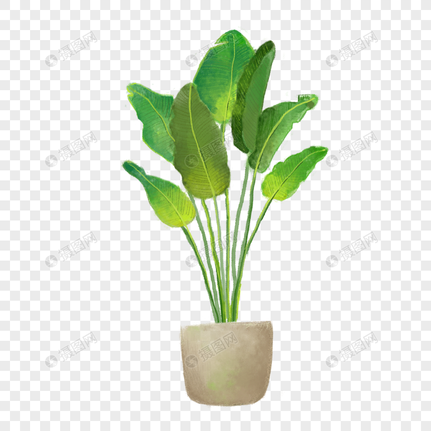 flowerpot png image picture free download 400178549 lovepik com flowerpot png image picture free