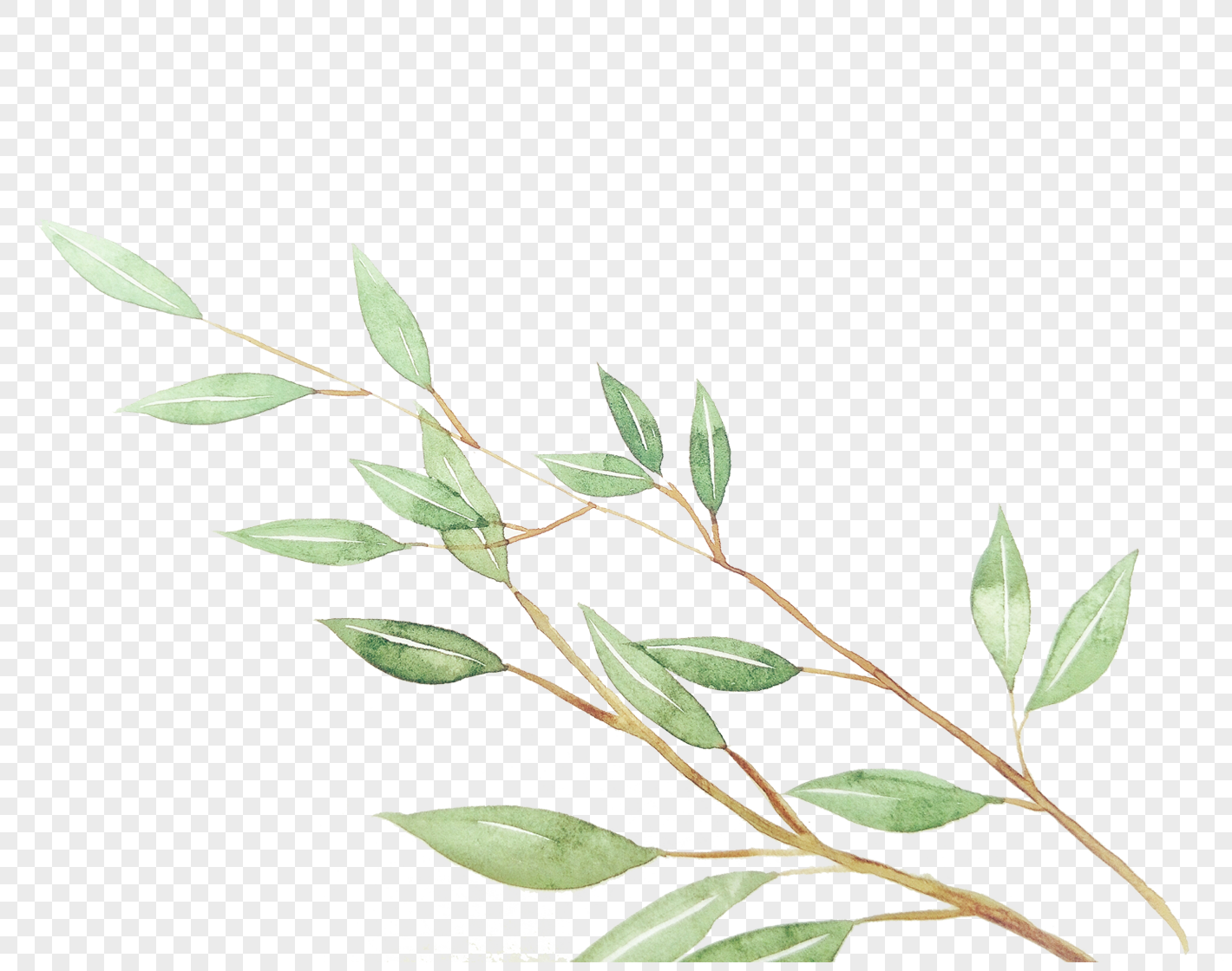 Plants png image_picture free download 400190362_lovepik.com