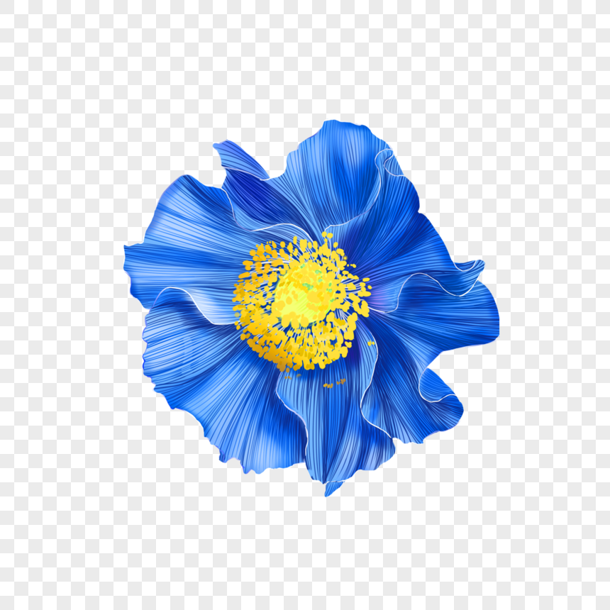 Flores Azules Imagenes De Graficos Png Gratis Lovepik