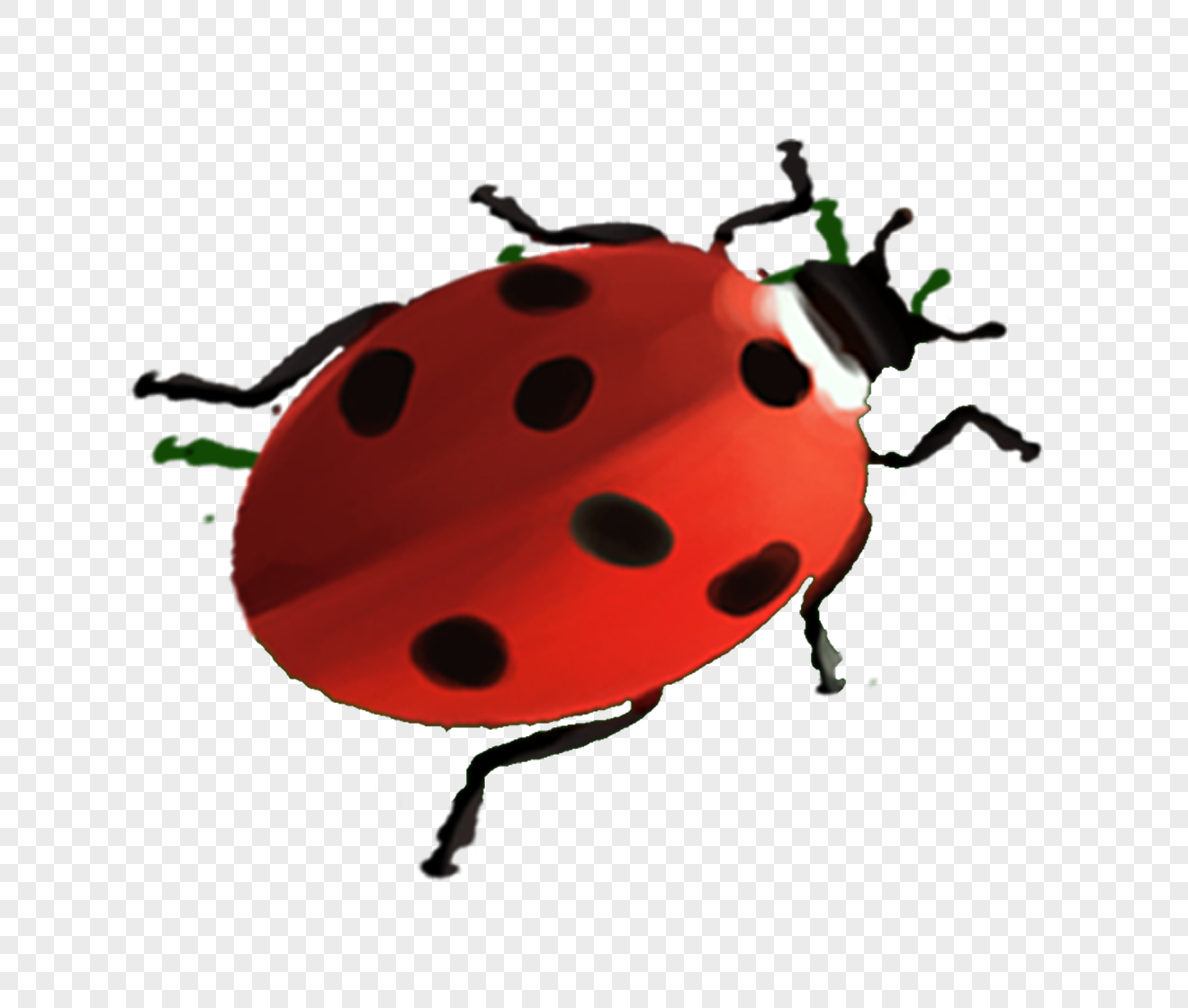 Ladybug Miraculous PNG, Vector, PSD, and Clipart With Transparent