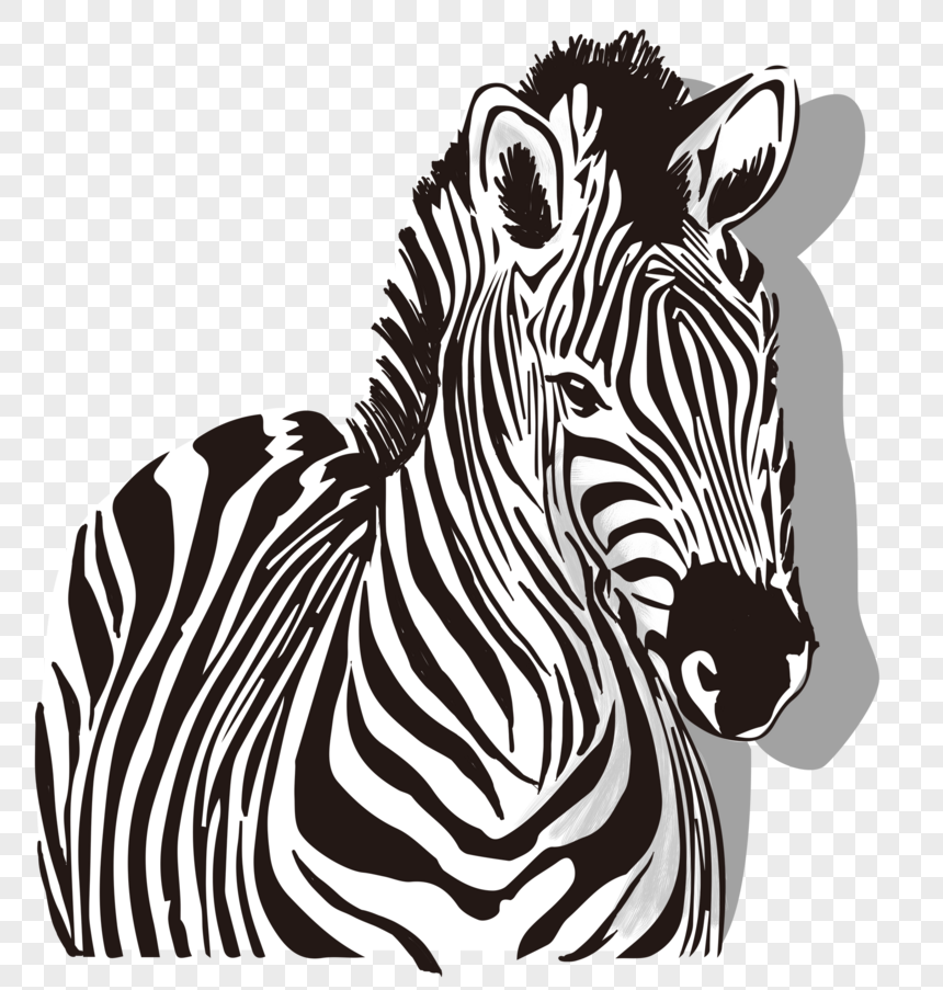 Hand Painted European Zebra, Zebra, Nobility, Zebra Head PNG ...