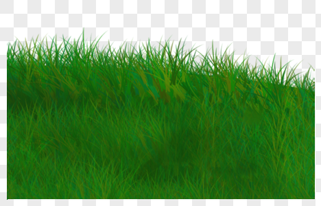 Green Grass PNG Images With Transparent Background | Free Download On  Lovepik