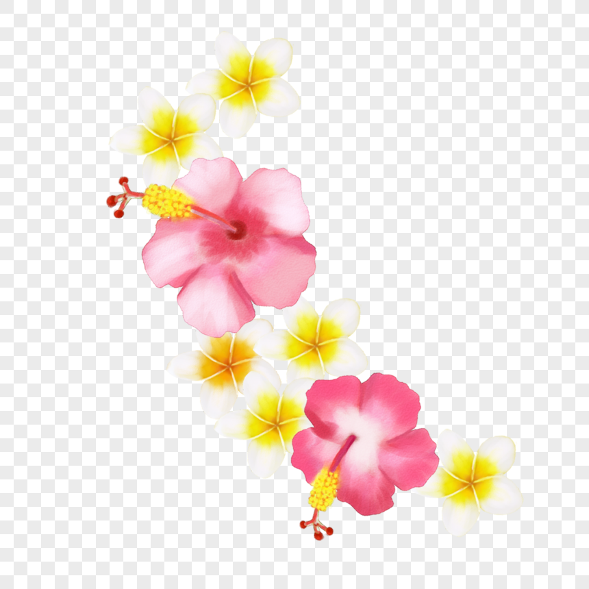 Bunga Bunga Indah Png Grafik Gambar Unduh Gratis Lovepik