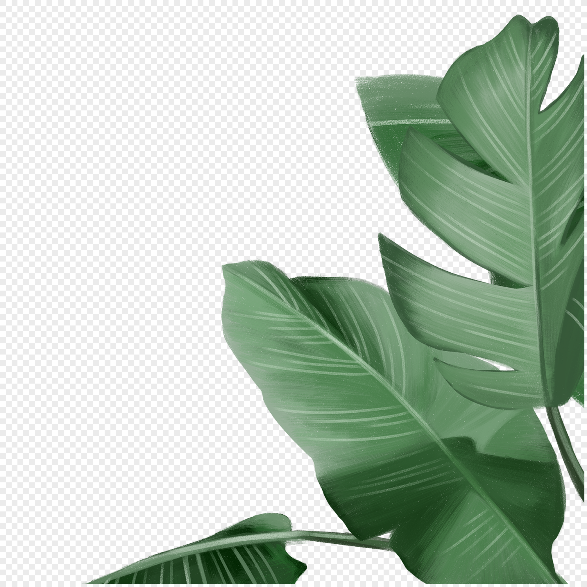 Tropical Leaves PNG Image & PSD File Free Download - Lovepik | 400209430
