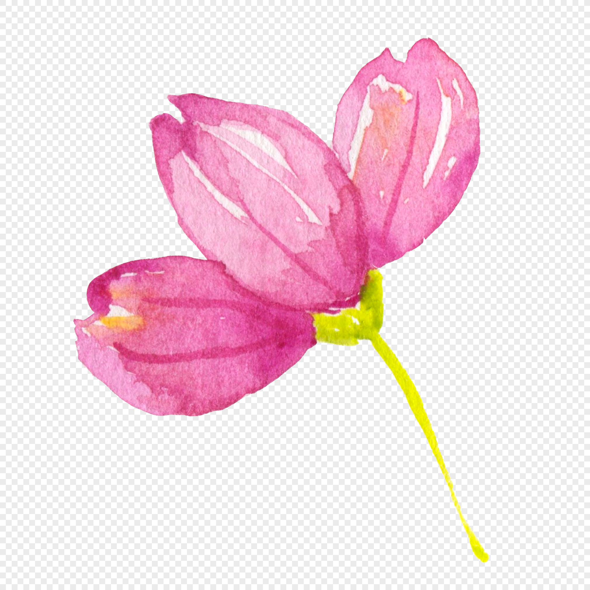 Flor Aquarela Imagem Grátis Gráficos Número PNG Formato Imagem pt lovepik com