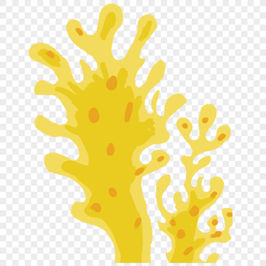 Download Yellow Seaweed Png Image Picture Free Download 400210685 Lovepik Com PSD Mockup Templates