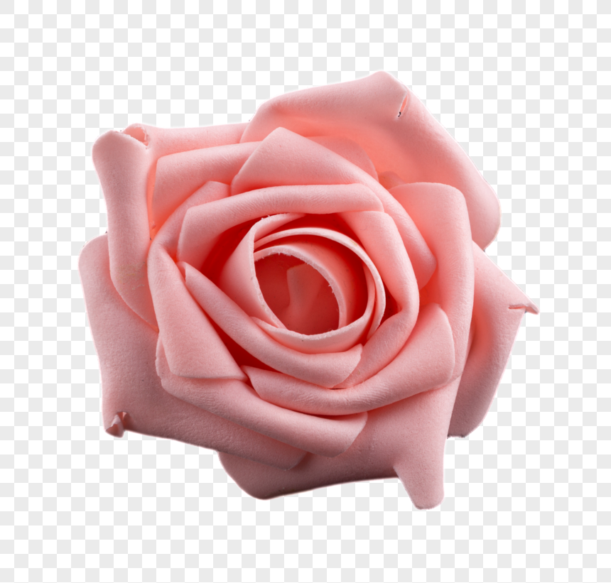ピンクのバラの花無料イラストの要素イメージ グラフィックス Id