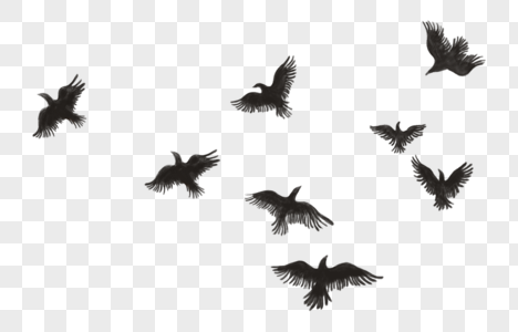 Birds PNG Images With Transparent Background | Free Download On Lovepik