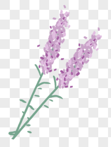 Lavender Background Images, HD Pictures For Free Vectors & PSD Download -  