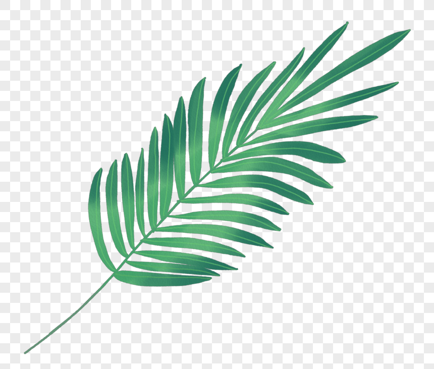 Plant Leaves PNG Picture And Clipart Image For Free Download - Lovepik ...