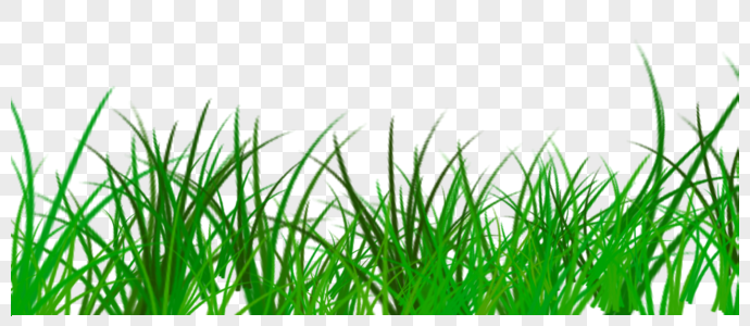 Grass PNG Images With Transparent Background | Free Download On Lovepik