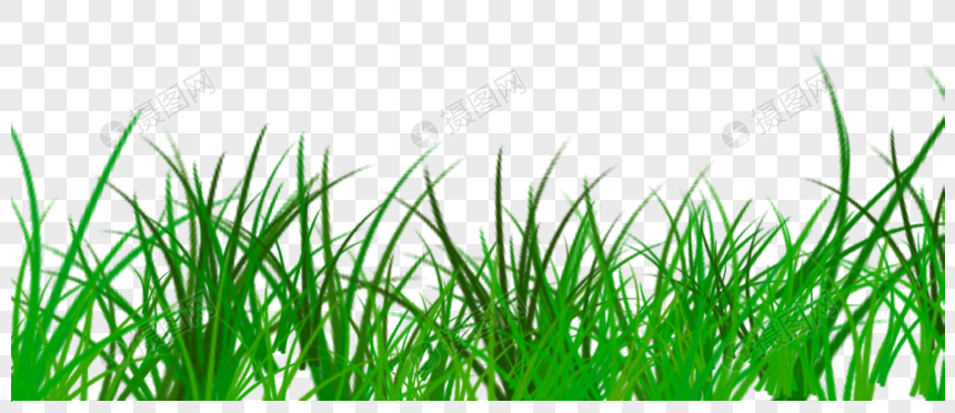 Green Grass Png Image Picture Free Download Lovepik Com