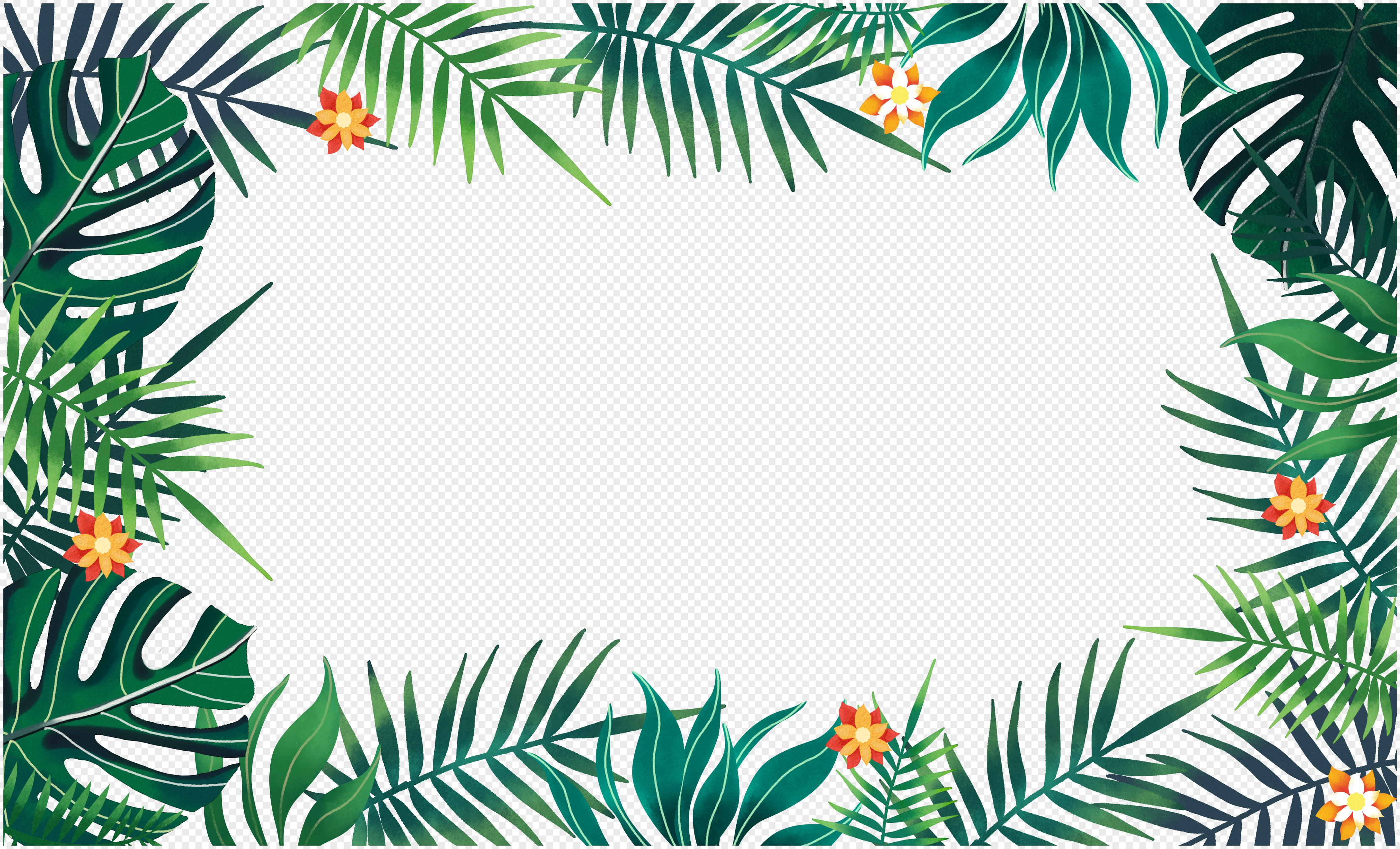 Tropical Plant Flower Border PNG Image & PSD File Free Download
