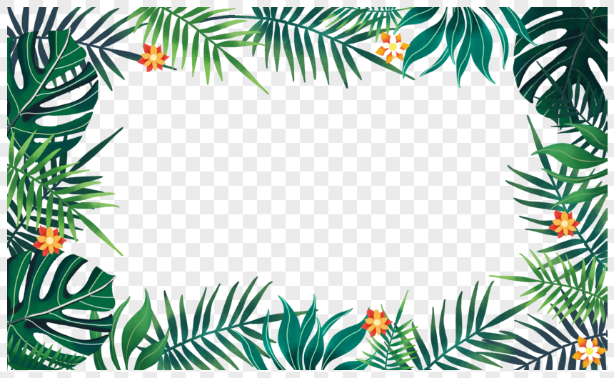 Tropical Flower Border Design