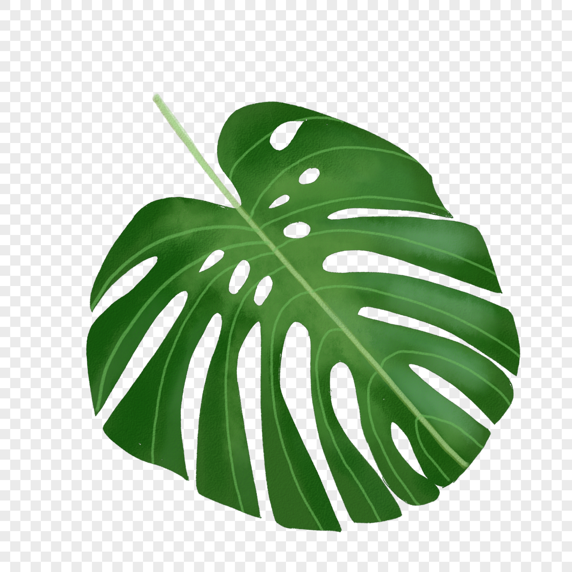 Leaf PNG Image & PSD File Free Download - Lovepik | 400225218